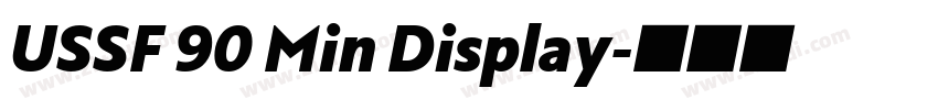 USSF 90 Min Display字体转换